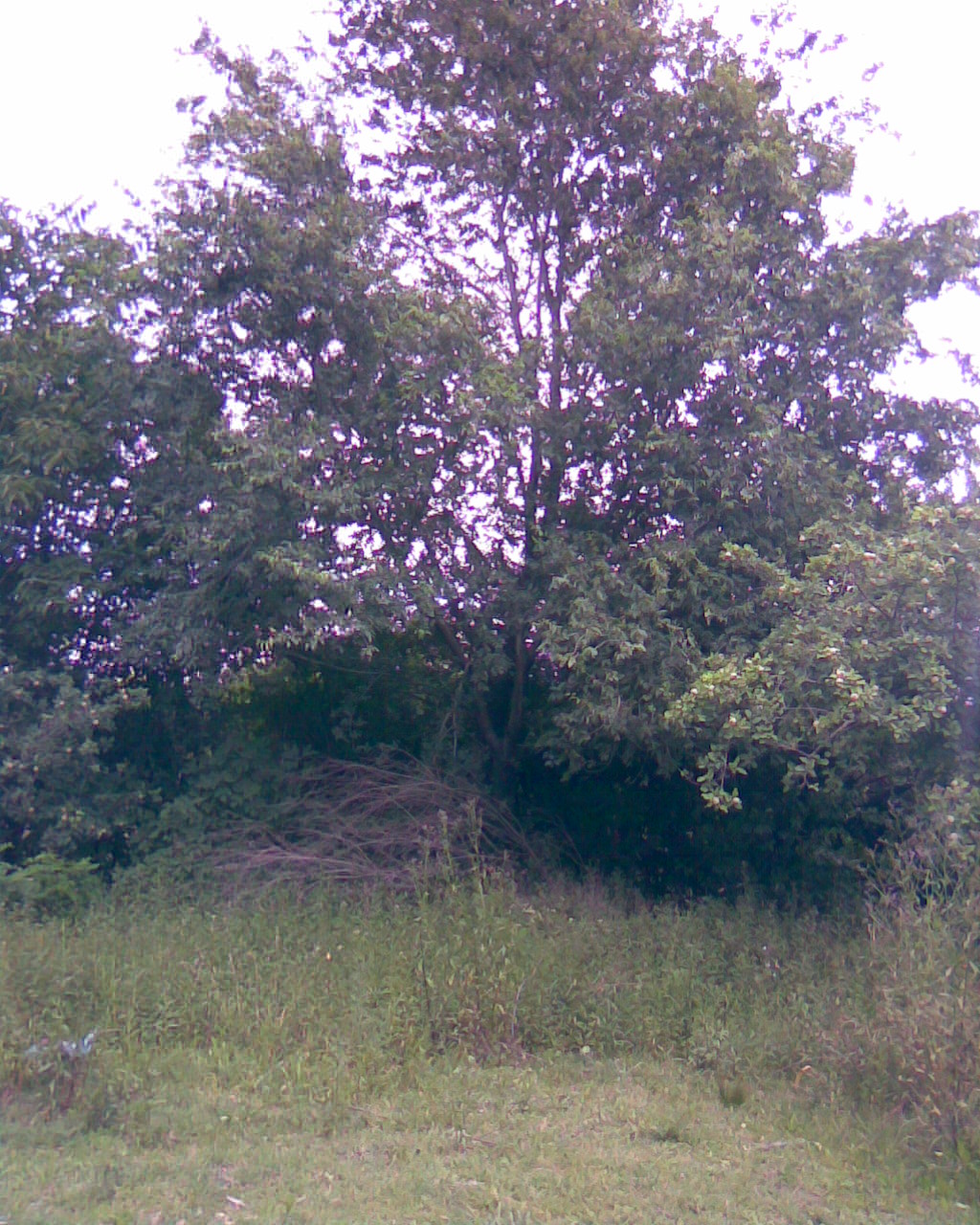 fotos/2006-12-10 - Ranchito de la Obligado/casa (4).jpg